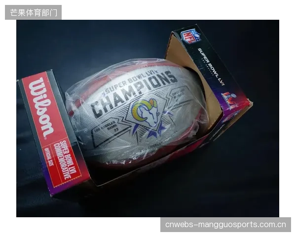 NFL与美国国家知识产权协调中心在第58届超级碗期间的联合行动，在凤凰城现场查缴了价值超过2270万美元的假冒体育商品